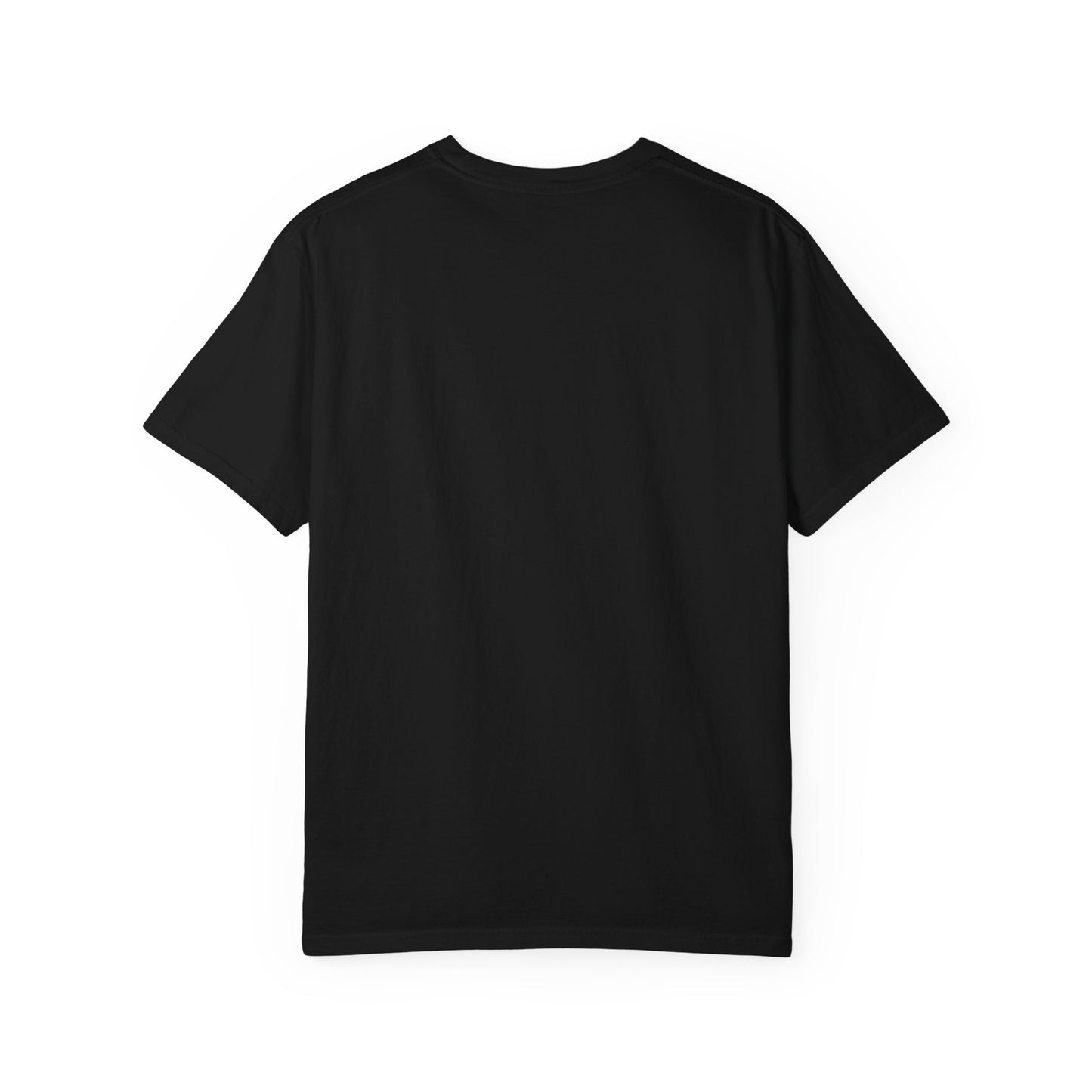 Vintage National Park Bear T-Shirt