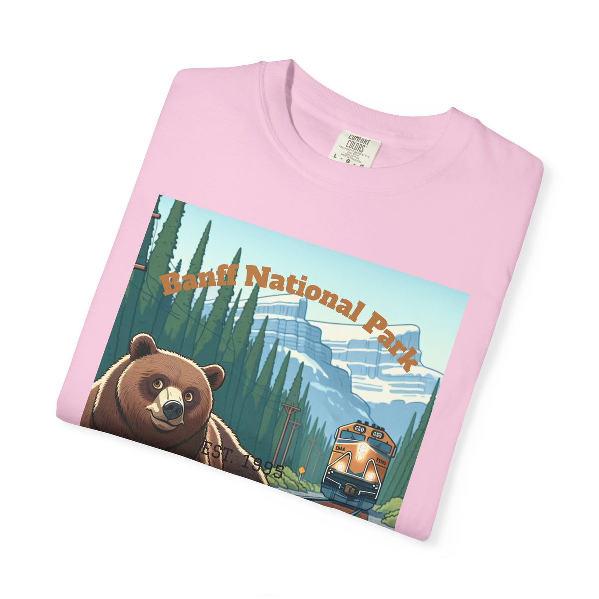 Vintage National Park Bear T-Shirt